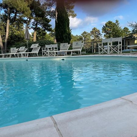 Apartmán Tuscany Relax H&H - Helly House San Vivaldo Exteriér fotografie